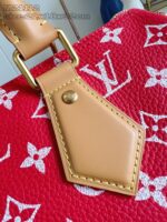 LV Master level Bag