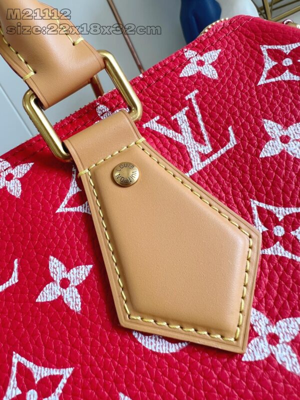 LV Master level Bag