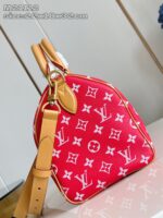 LV Master level Bag