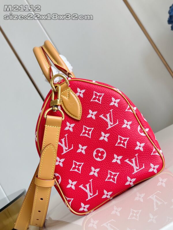 LV Master level Bag