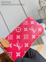 LV Master level Bag