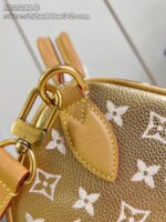 LV Master level Bag