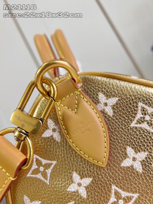 LV Master level Bag