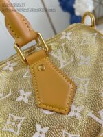 LV Master level Bag