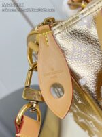 LV Master level Bag