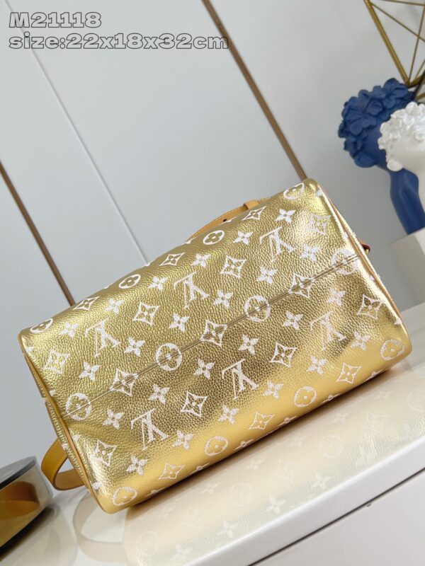 LV Master level Bag