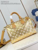 LV Master level Bag