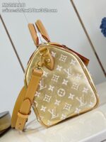 LV Master level Bag