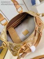 LV Master level Bag