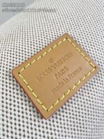 LV Master level Bag