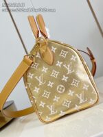 LV Master level Bag