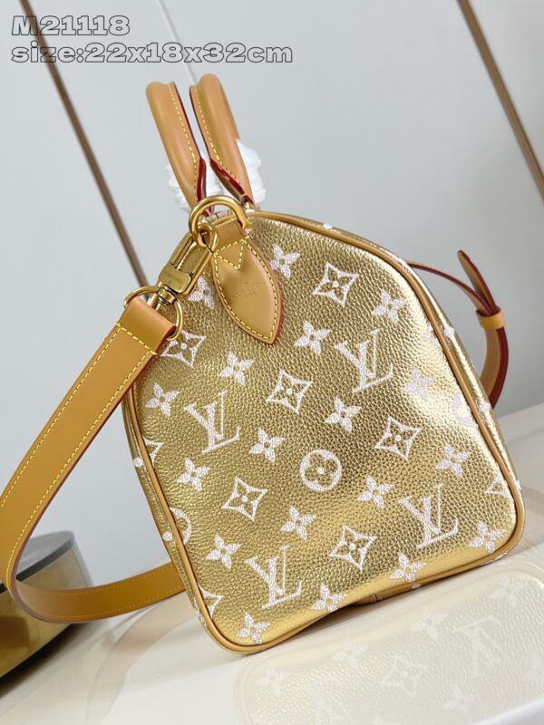 LV Master level Bag