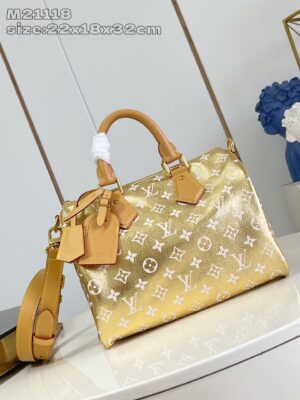 LV Master level Bag