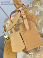 LV Master level Bag