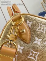 LV Master level Bag