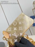 LV Master level Bag