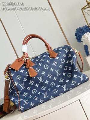 LV Master level Bag