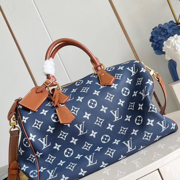LV Master level Bag