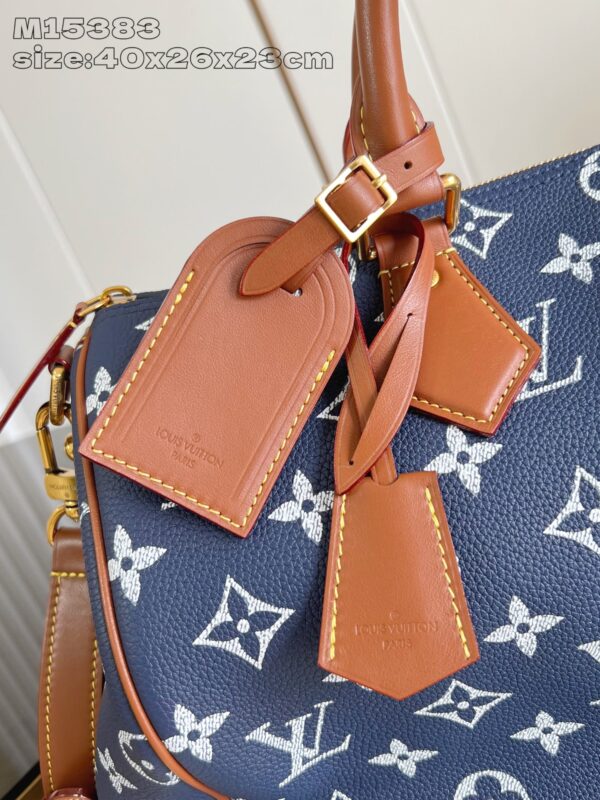 LV Master level Bag