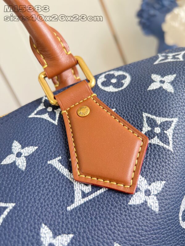 LV Master level Bag