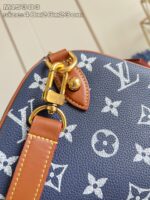 LV Master level Bag