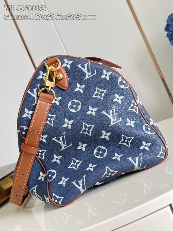 LV Master level Bag