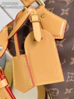 LV Master level Bag