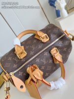 LV Master level Bag
