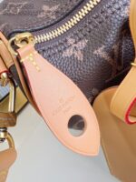LV Master level Bag