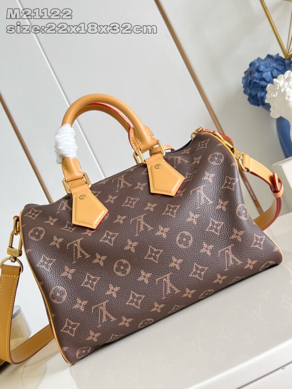 LV Master level Bag