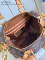 LV Master level Bag