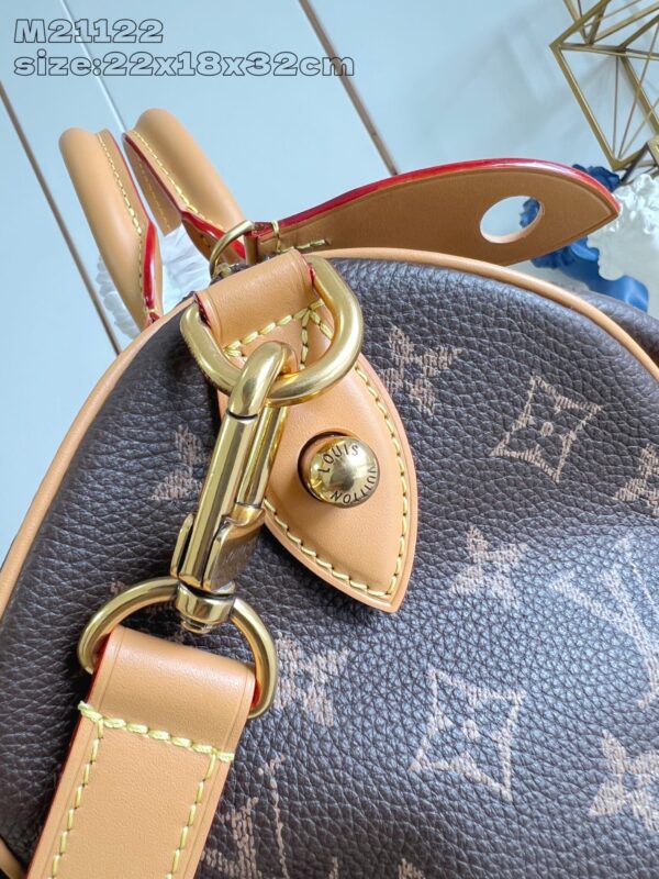 LV Master level Bag