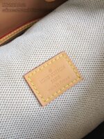 LV Master level Bag