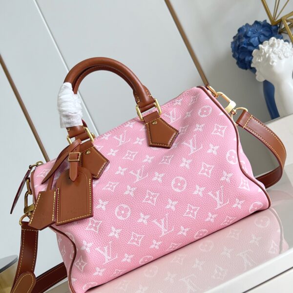 LV Master level Bag