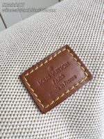 LV Master level Bag