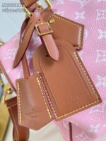 LV Master level Bag