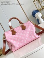 LV Master level Bag