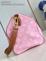LV Master level Bag