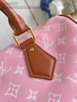 LV Master level Bag