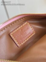 LV Master level Bag