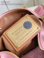 LV Master level Bag