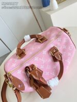 LV Master level Bag