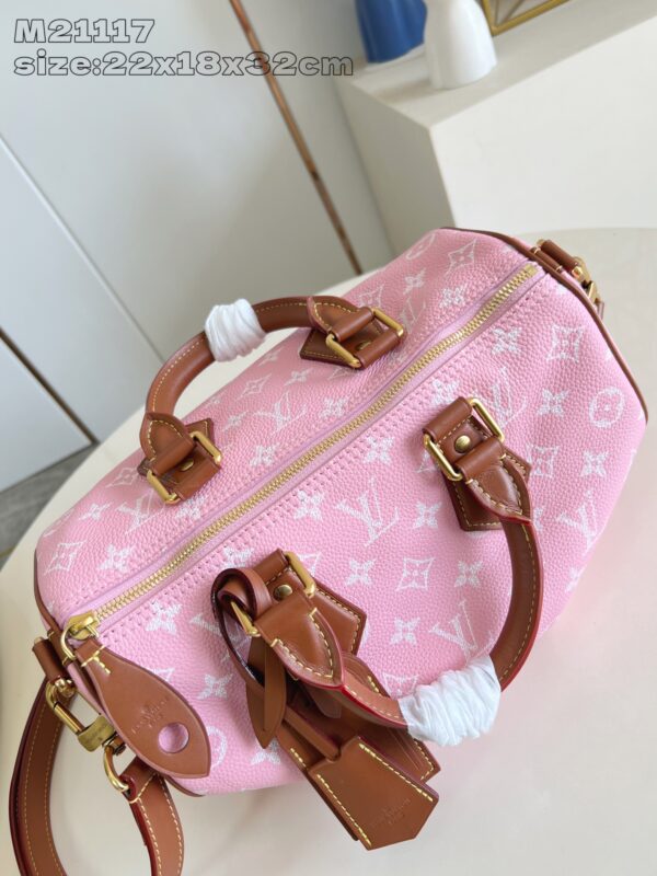 LV Master level Bag