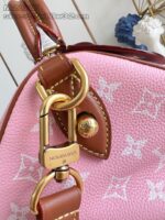 LV Master level Bag