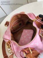 LV Master level Bag