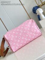 LV Master level Bag
