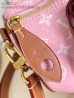 LV Master level Bag