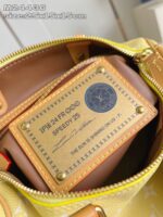 LV Master level Bag