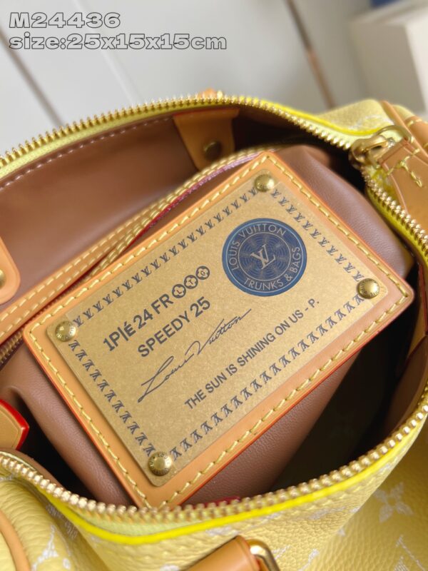 LV Master level Bag