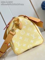 LV Master level Bag